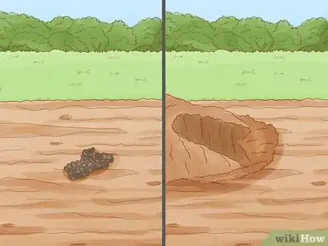 Imagen titulada Trap a Rabbit Step 14