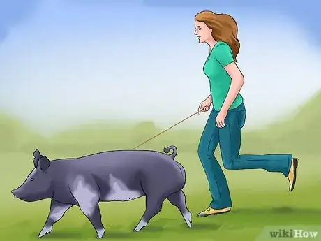 Imagen titulada Show Your Pigs Step 3