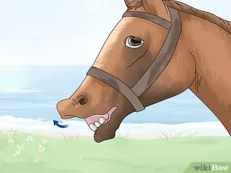 Imagen titulada Tell if a Horse Is Frightened Step 3