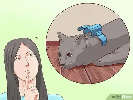 Imagen titulada Deactivate Your Cat Step 1