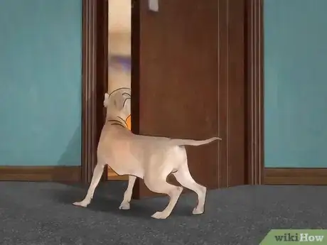 Imagen titulada Kill Fleas and Ticks in Your Home Step 11