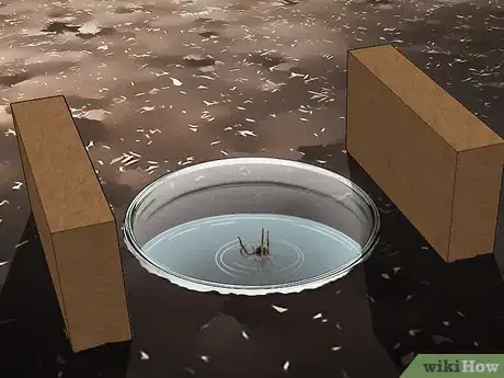Imagen titulada Set Spider Traps Step 12