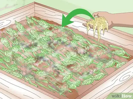 Imagen titulada Add Nitrogen to Compost Step 5
