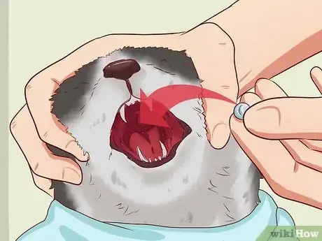 Imagen titulada Open a Cat's Mouth Step 7