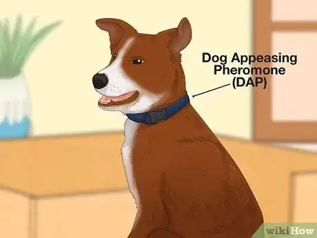 Imagen titulada Handle a Mother Dog Refusing to Stay with Her Puppies Step 2