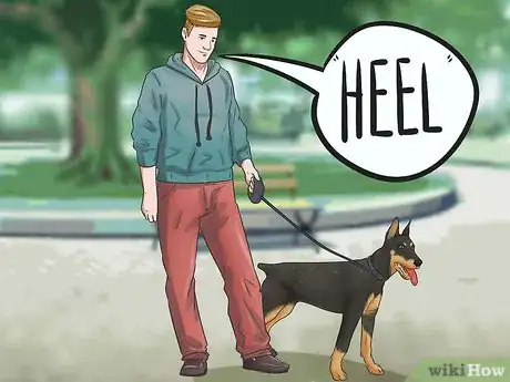 Imagen titulada Train a Doberman Pinscher Step 11