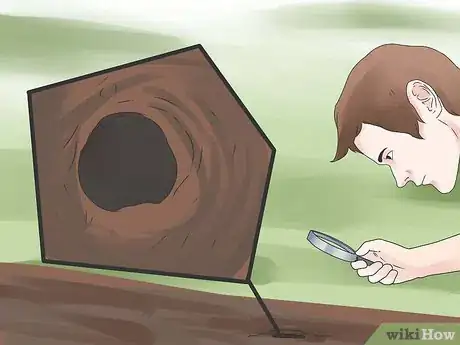 Imagen titulada Identify a Tarantula Spider Step 9