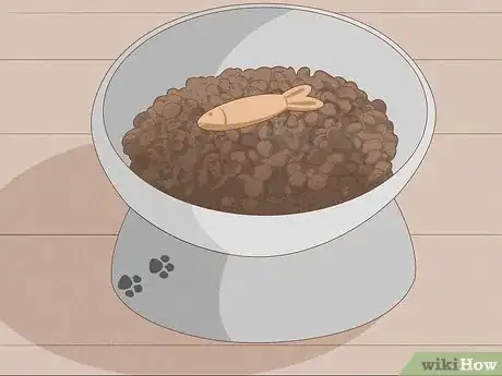 Imagen titulada Apologize to a Cat Step 12