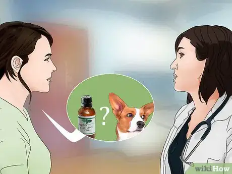 Imagen titulada Control Fleas by Using Peppermint Step 1