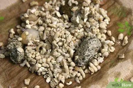 Imagen titulada Prepare Fish Tank Gravel Step 6