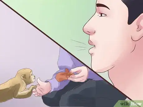 Imagen titulada Take Care of a Monkey Step 15