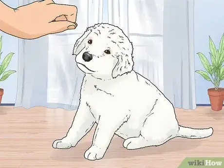Imagen titulada Train a Dog Step 4