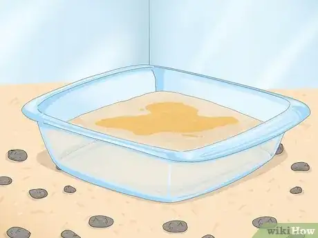 Imagen titulada Potty Train a Hamster Step 12