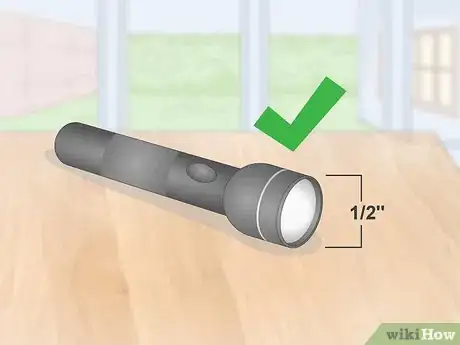 Imagen titulada Tell if Duck Eggs Are Dead or Alive Step 1