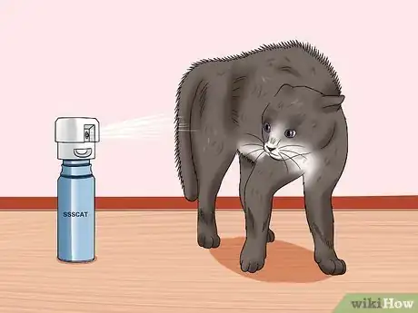 Imagen titulada Keep a Cat from Running out the Door Step 3