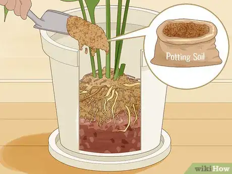 Imagen titulada Save an Overwatered Plant Step 15