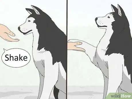 Imagen titulada Stop a Dog from Pawing Step 2