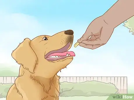 Imagen titulada Teach Your Dog to Jump Step 4
