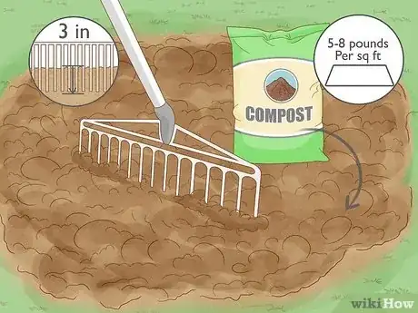 Imagen titulada Grow a Tomato Plant Step 7