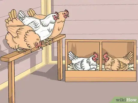 Imagen titulada Take Care of Chickens Step 14