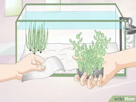 Imagen titulada Creatively Decorate a Freshwater Fish Tank Step 10