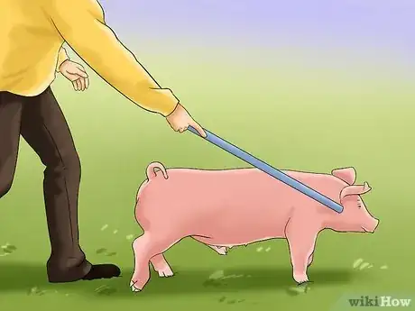 Imagen titulada Show Your Pigs Step 5
