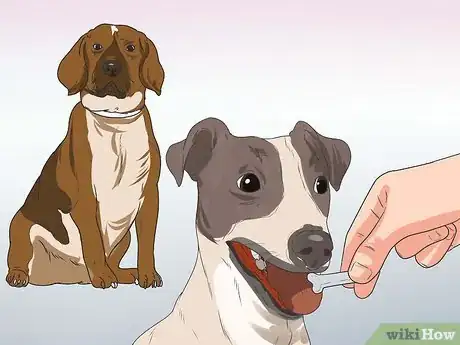 Imagen titulada Train Your Dog from Running out of Your House Step 6