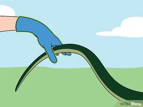Imagen titulada Catch a Snake Step 10