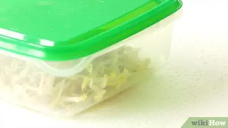 Imagen titulada Freeze Bean Sprouts Step 11