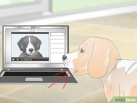 Imagen titulada Teach Your Dog to Howl Step 3