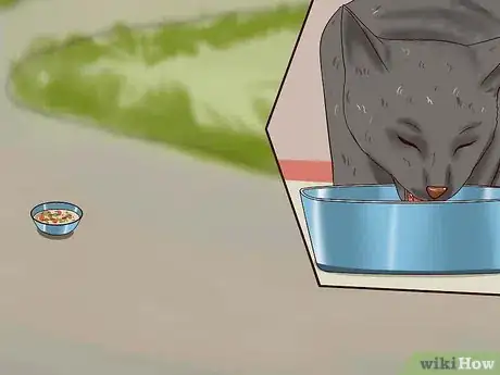 Imagen titulada Catch a Cat Step 11