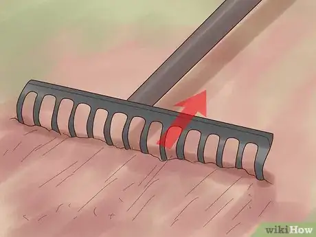 Imagen titulada Grow Flowers from Seed Step 9