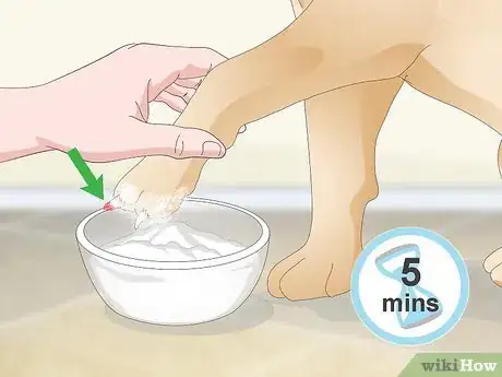 Imagen titulada Stop a Quick from Bleeding Step 9