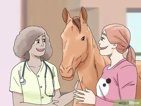 Imagen titulada Treat Edema in Horses Step 12