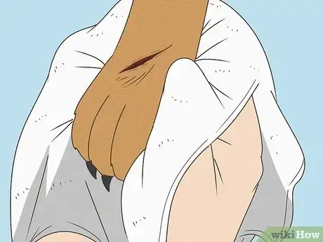 Imagen titulada Wrap a Dog Paw Step 3