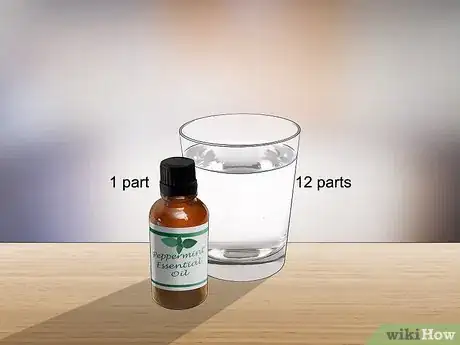Imagen titulada Control Fleas by Using Peppermint Step 7