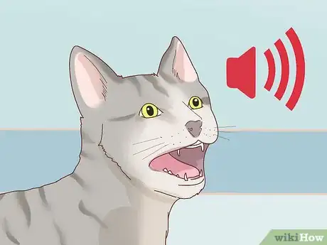 Imagen titulada Tell if Your Cat Is Depressed Step 5