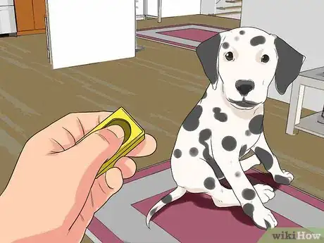 Imagen titulada Train Dalmatians Step 12