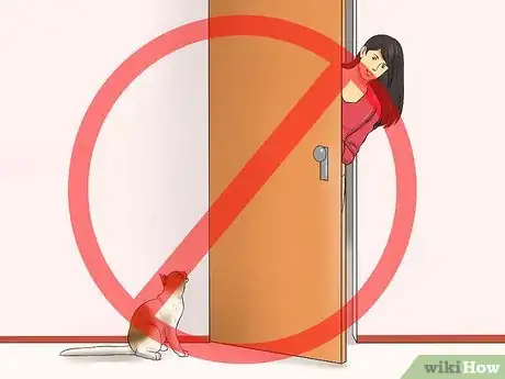 Imagen titulada Keep a Cat from Running out the Door Step 2