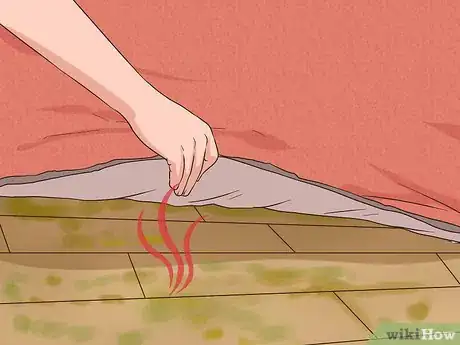 Imagen titulada Remove Mold Stains from Wood Floors Step 2