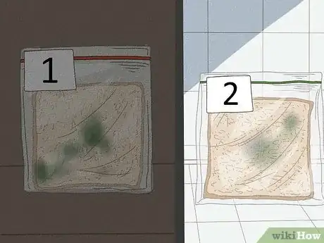 Imagen titulada Make Mold Grow on Bread Step 10