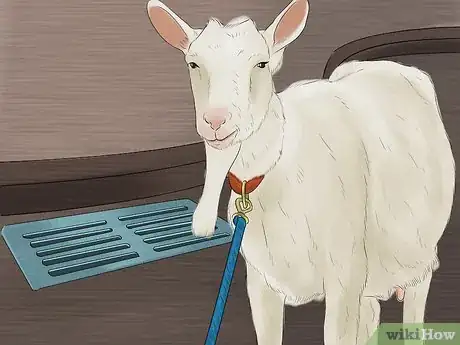 Imagen titulada Wash a Goat Step 2