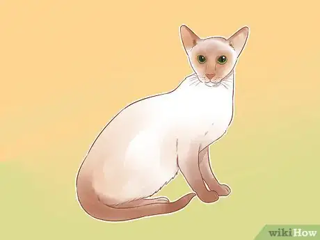 Imagen titulada Identify Cats Step 9
