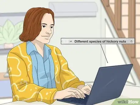 Imagen titulada Identify Hickory Nuts Step 6
