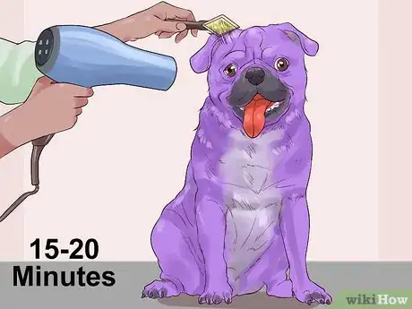 Imagen titulada Dye a Dog's Fur Step 13