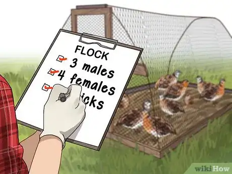Imagen titulada Build a Quail Habitat Step 15