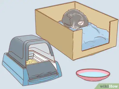 Imagen titulada Get a Kitten to Fall Asleep Step 5