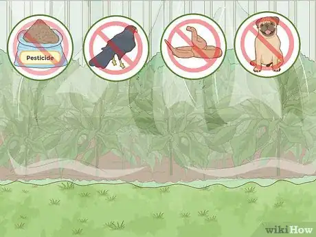 Imagen titulada Create a Habitat for a Toad Step 1