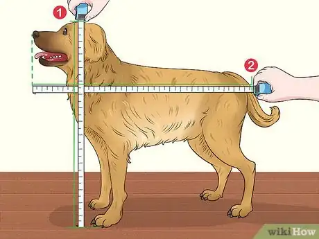 Imagen titulada Build a Dog Crate Step 1