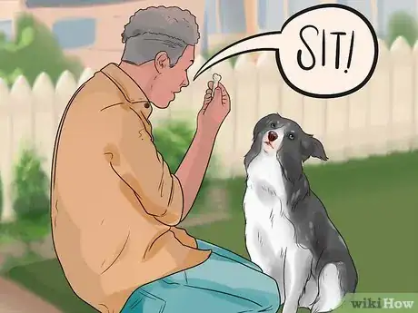 Imagen titulada Stop a Dog from Killing Squirrels Step 6